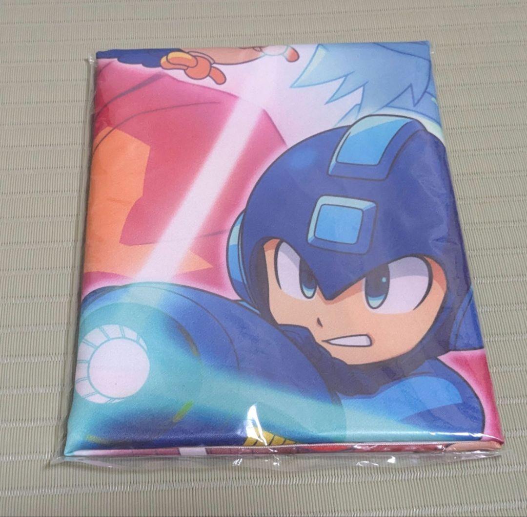 【Switch】ロックマン11 コレクターズパッケージ 美品 amiibo同梱版