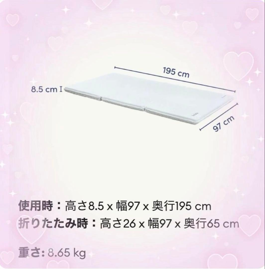 ✨未使用・未開封品✨一点限りのお買得品！コアラフトン OASIS　シングル