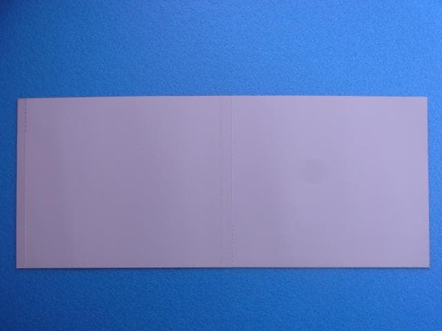 非売品　サクラ大戦　セガサターン　SS　ダミージャケット　販促品　見本　店頭用