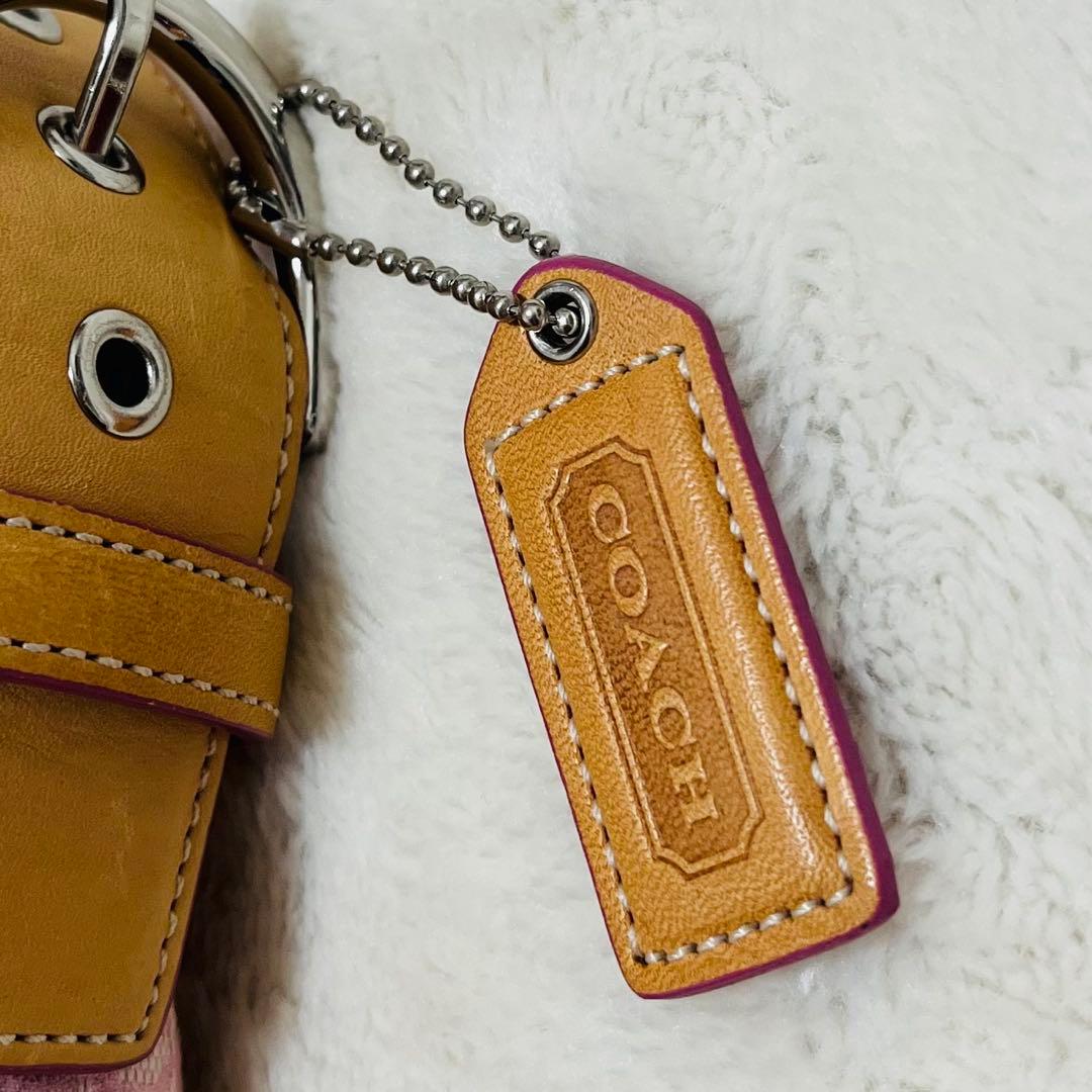 美品✨COACHコーチ　アクセサリーポーチ　6351 シグネチャー　希少カラー