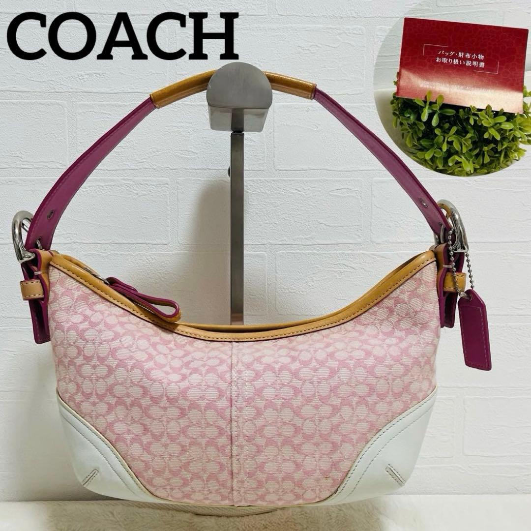 美品✨COACHコーチ　アクセサリーポーチ　6351 シグネチャー　希少カラー