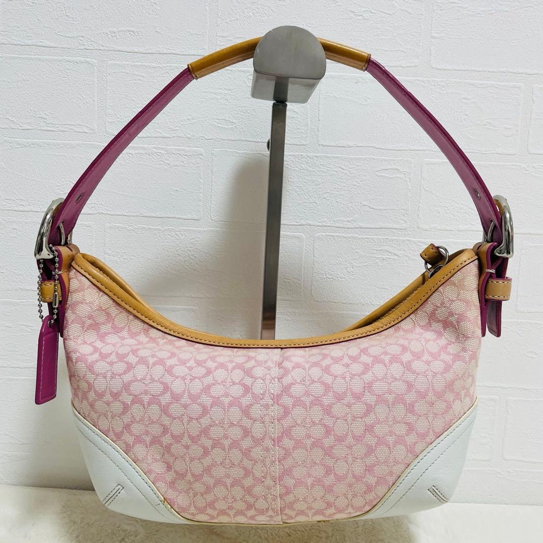 美品✨COACHコーチ　アクセサリーポーチ　6351 シグネチャー　希少カラー