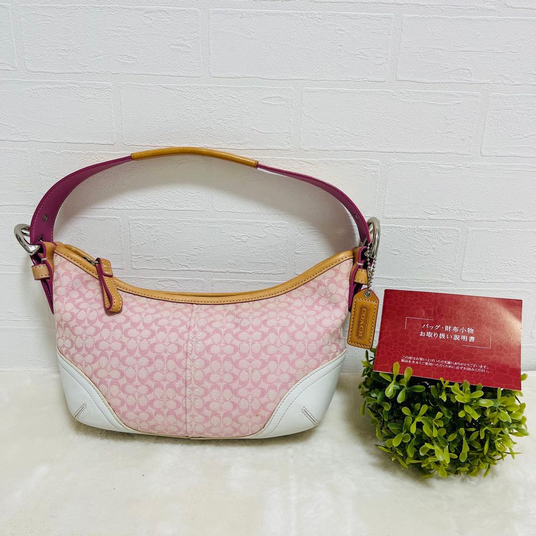 美品✨COACHコーチ　アクセサリーポーチ　6351 シグネチャー　希少カラー