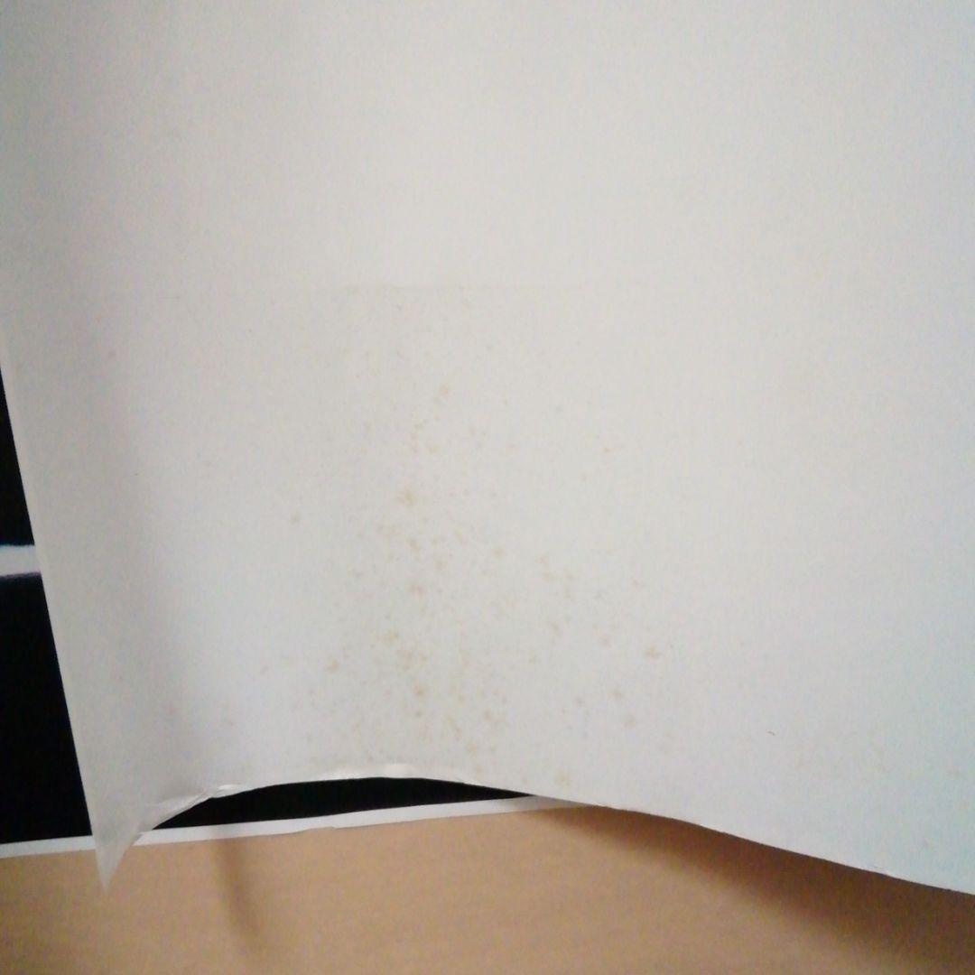 ハーレーダビッドソンポスター　1976年型FLHエレクトラグライド　ポリスタイプ