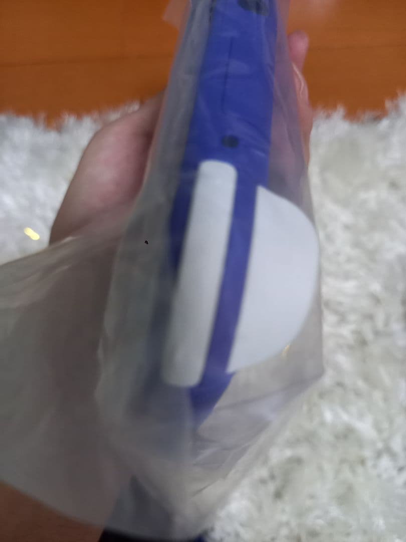 Nintendo Switch Lite ブルー (購入日R7.7.5)