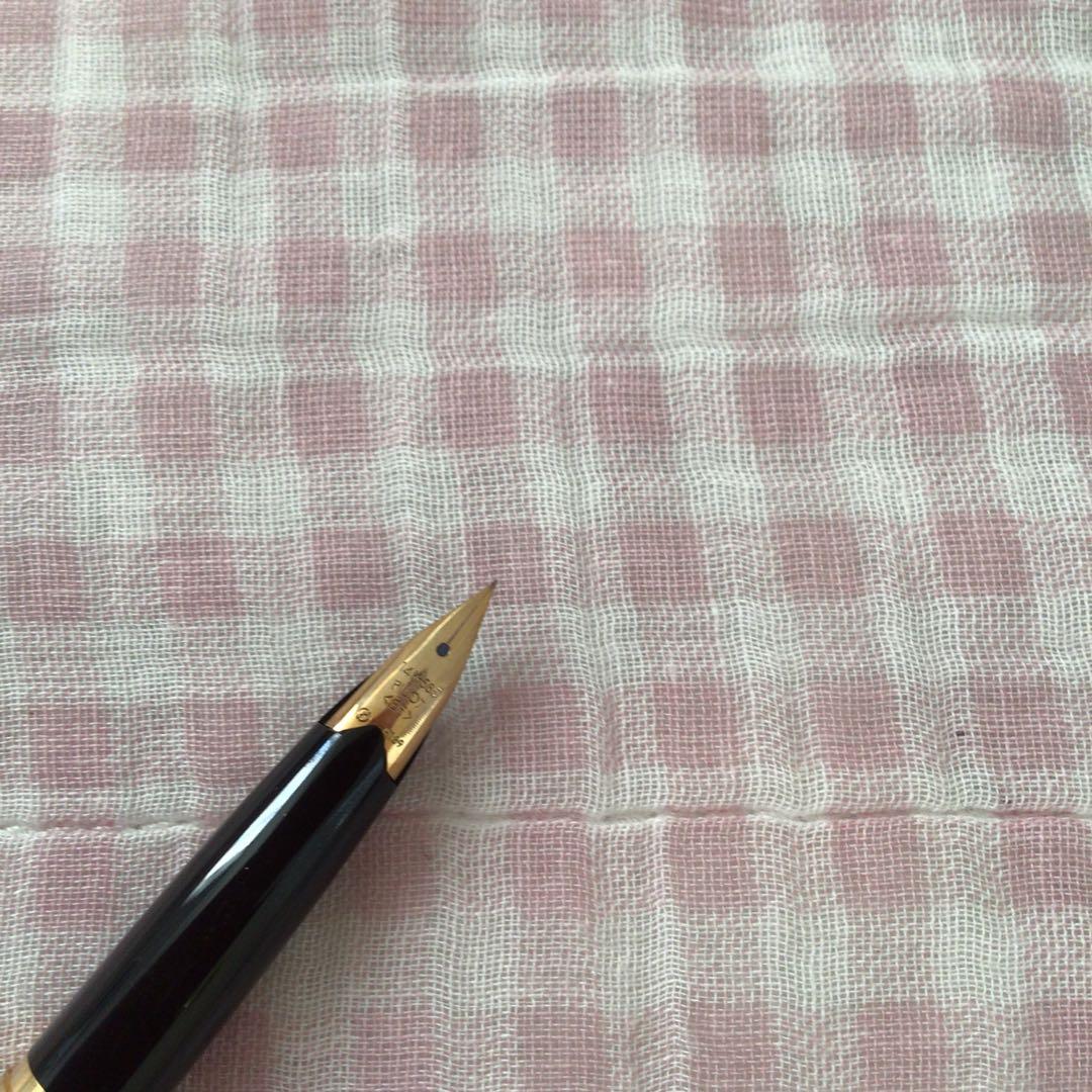 パイロット 14K 14金 万年筆 デスクペン 極細 EF 黒 廃盤