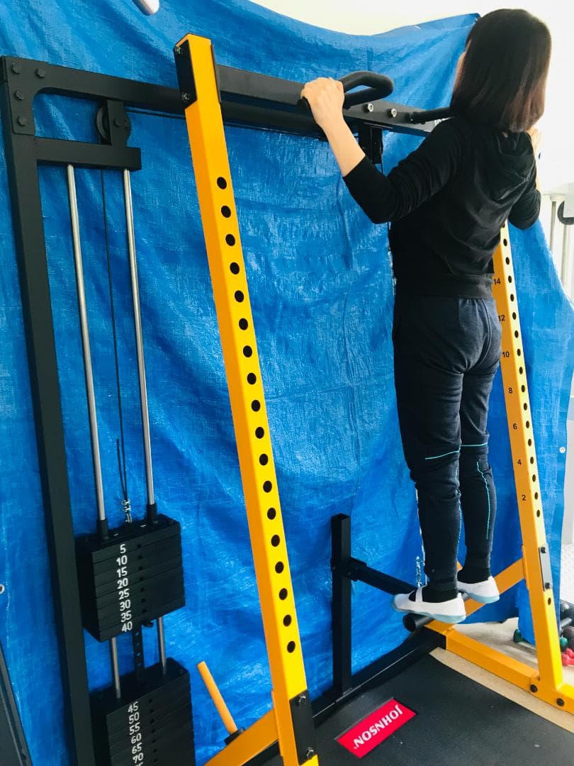 スマート・ラット（チンニング＆ロープーリー）パワーテック社WB-HR16用