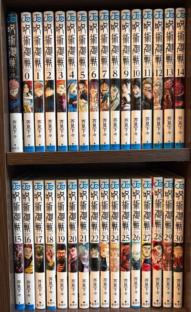 呪術廻戦 全巻セット 0巻〜30巻 特典 ファンブック