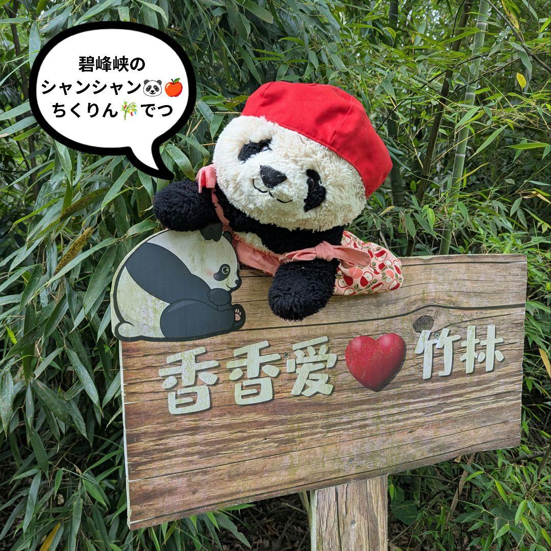 シャンシャン様♡の２歳シャンちゃん♡オーダー☆シャンシャンBirthdayグッズ