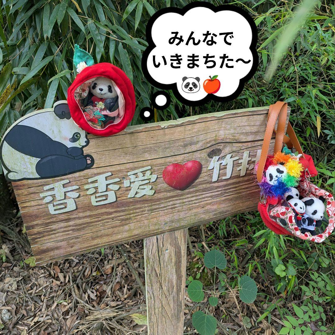 シャンシャン様♡の２歳シャンちゃん♡オーダー☆シャンシャンBirthdayグッズ