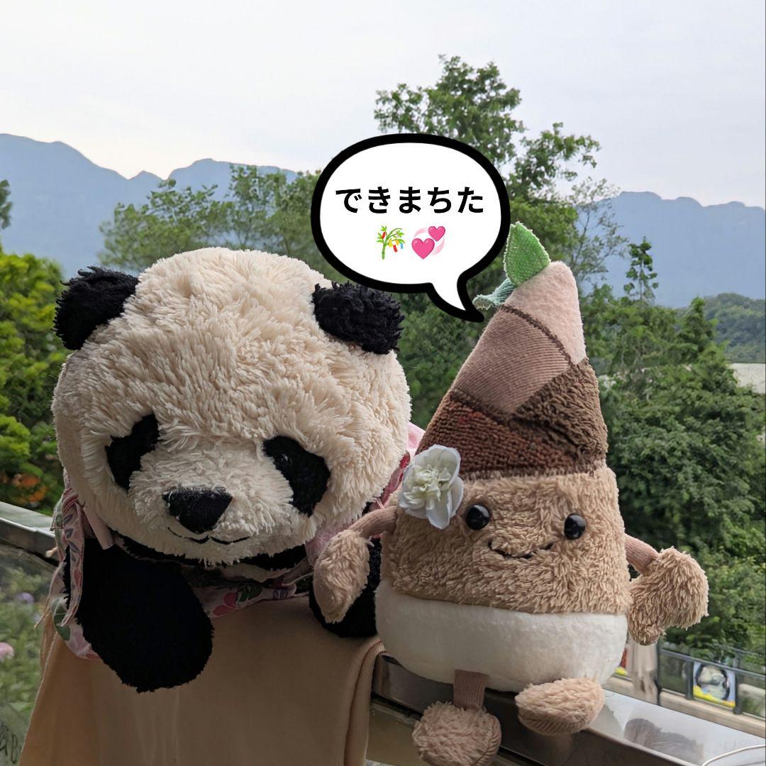 シャンシャン様♡の２歳シャンちゃん♡オーダー☆シャンシャンBirthdayグッズ