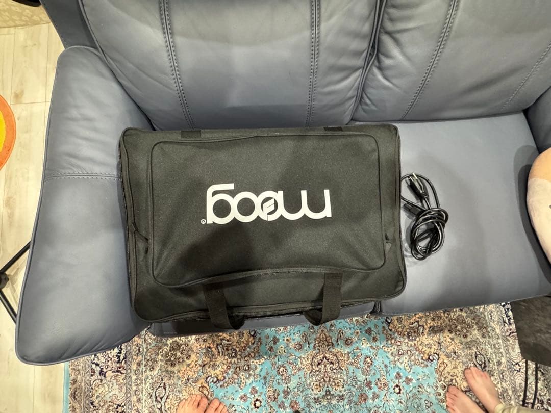 Moog Subsequent 25 デッキセイバーのカバー＋ケース付き