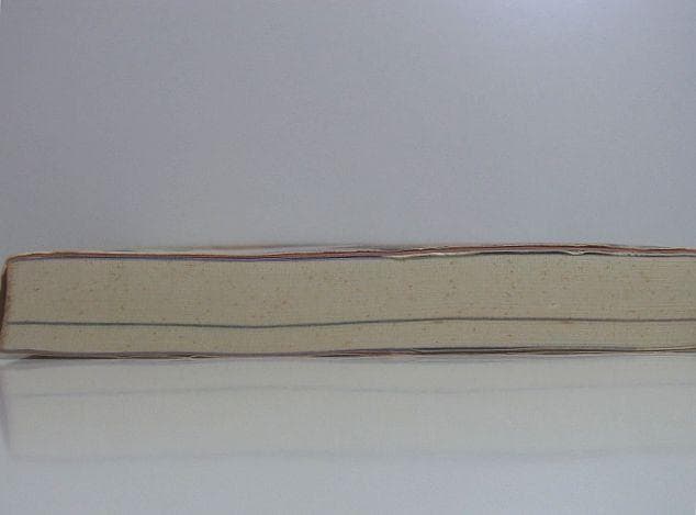 まとわりつくタイの音楽 前川健一 タイ音楽 モーラム ルークトゥン イサーン