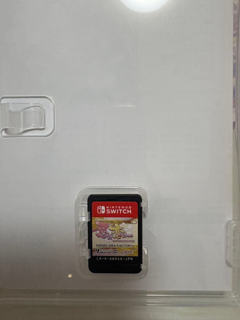 忍び、恋うつつ for Nintendo Switch 限定版