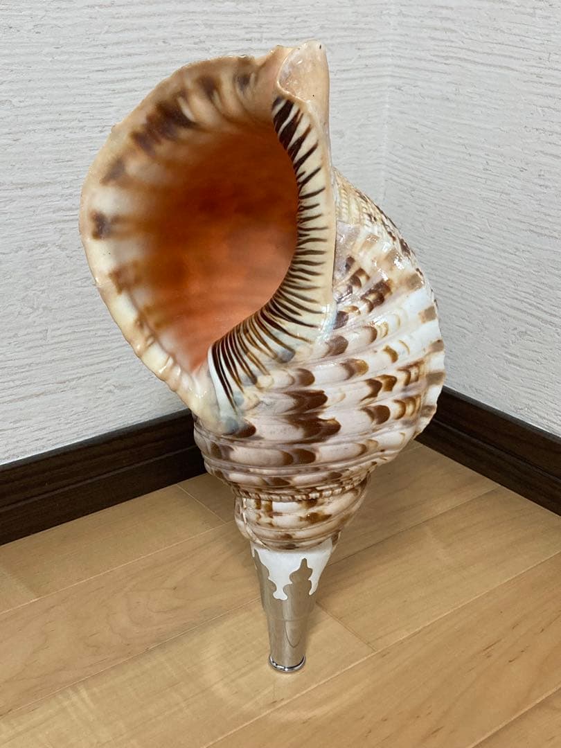 法螺貝　ほら貝　ホラ貝　山伏 修験道　和太鼓　お祭り　魔除け　当山派　本山派