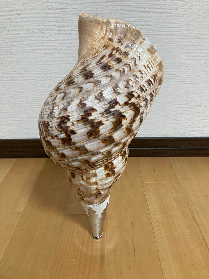 法螺貝　ほら貝　ホラ貝　山伏 修験道　和太鼓　お祭り　魔除け　当山派　本山派