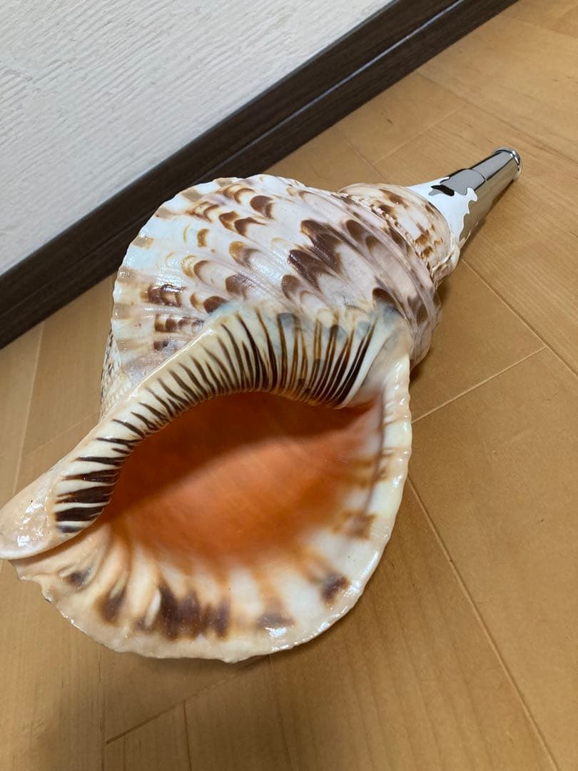 法螺貝　ほら貝　ホラ貝　山伏 修験道　和太鼓　お祭り　魔除け　当山派　本山派