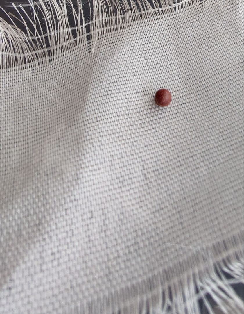 【本日限定価】格本物のシンギングボウルが欲しい方に　薄型　チベット　密教