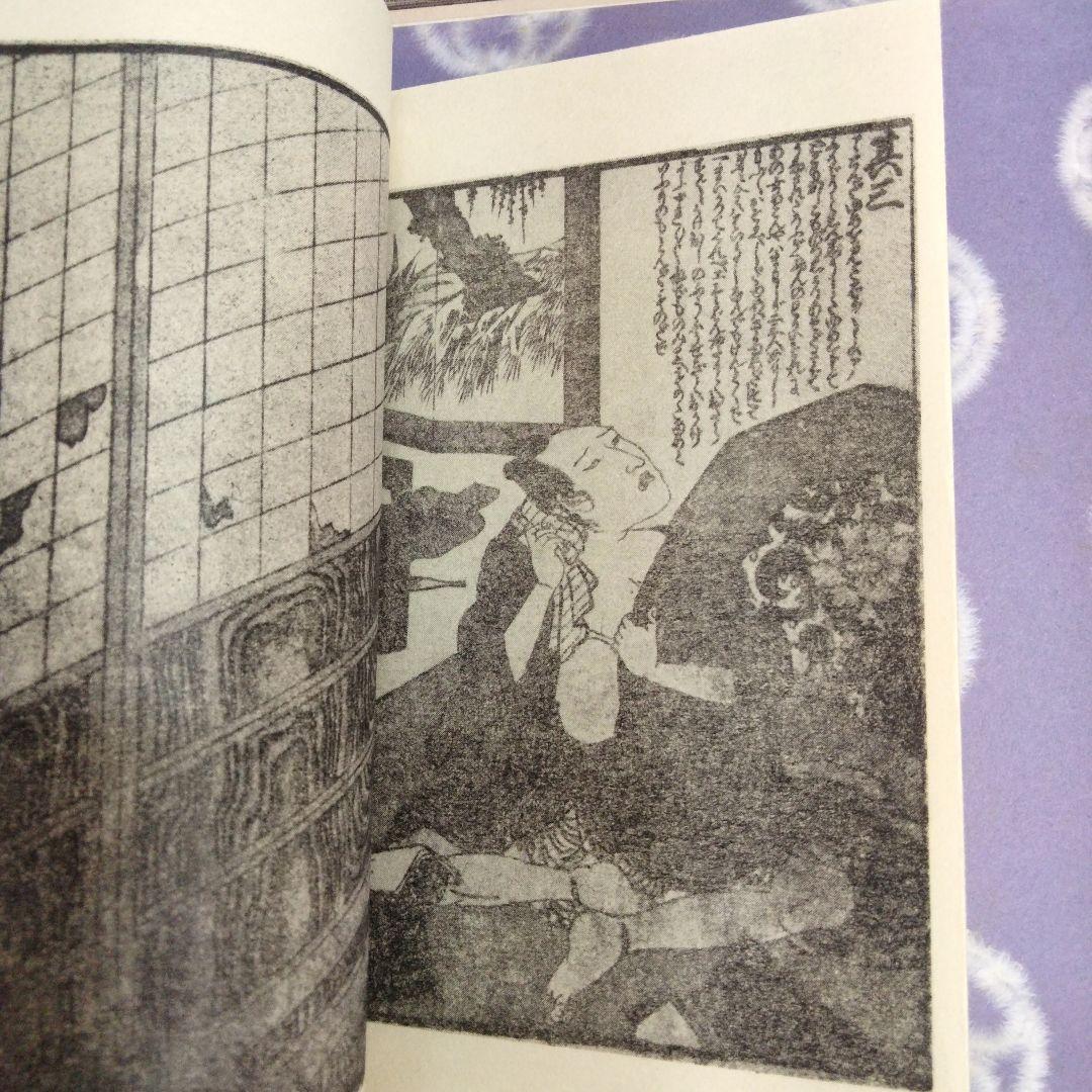 江戸 仕掛本　べらぼう　春画