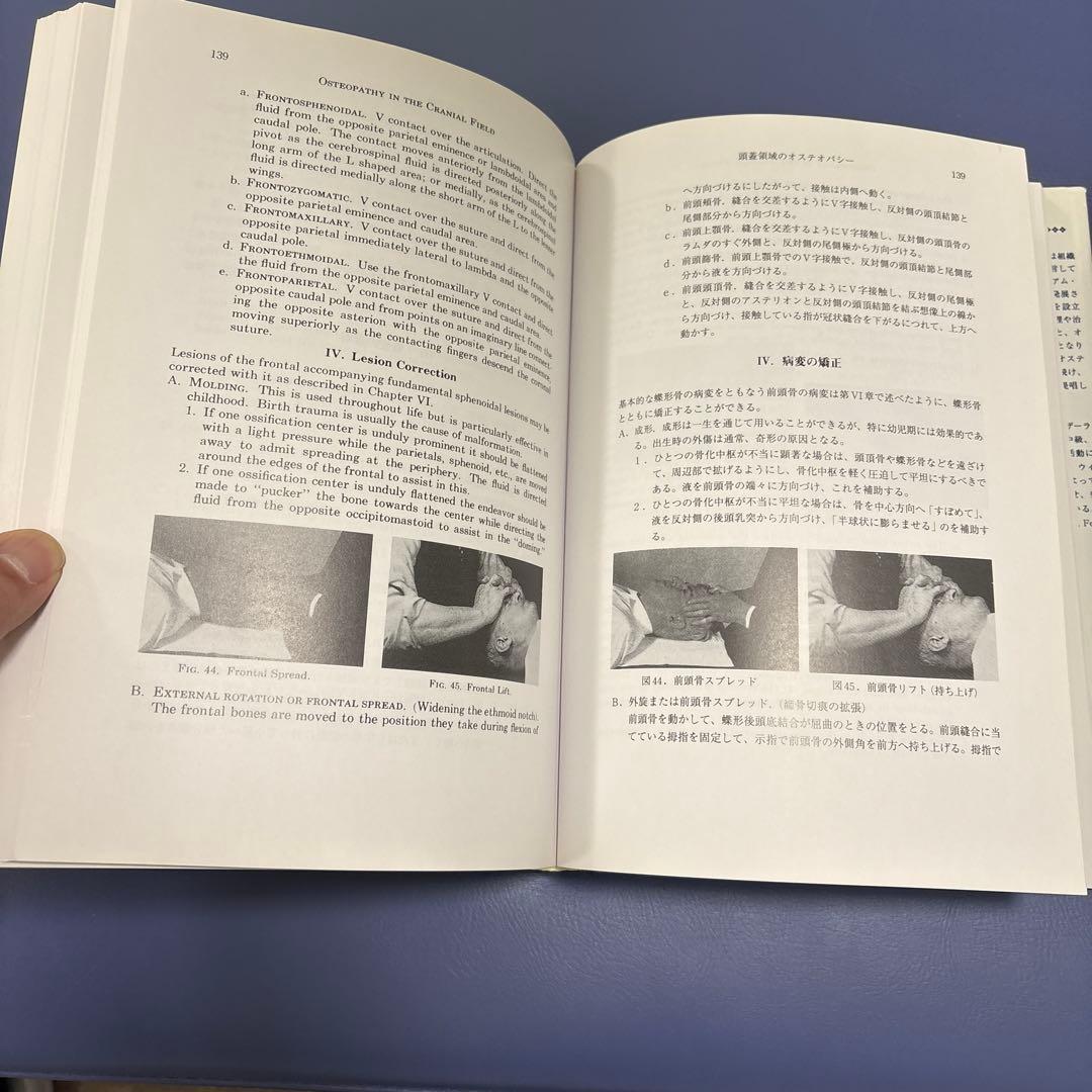 頭蓋領域のオステオパシー