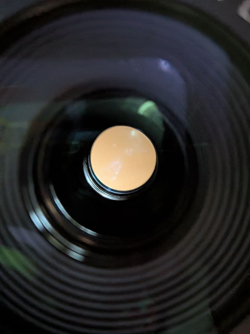 レンズ(ズーム) CANON EFS55-250mm F4-5.6 IS STM