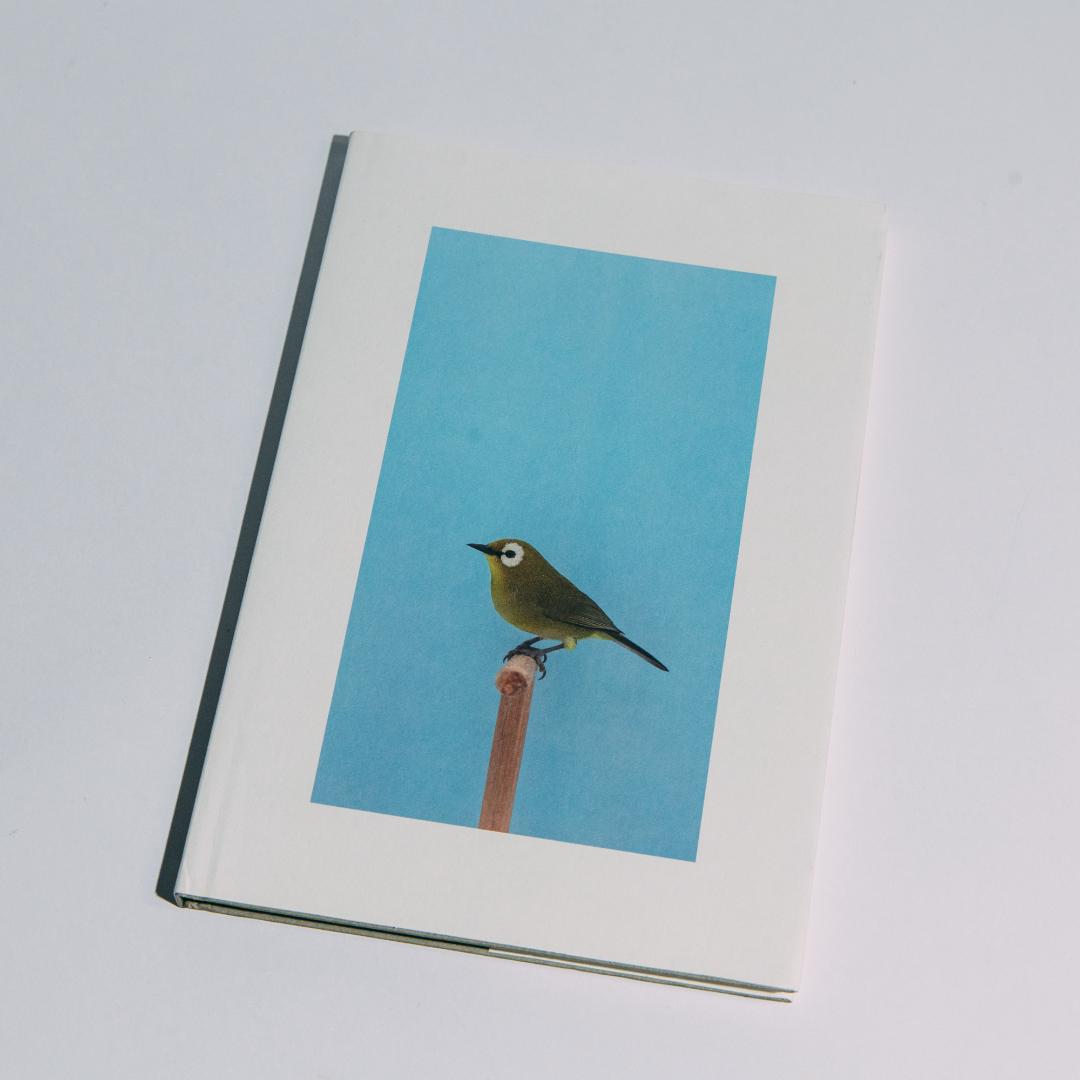 【美品】Luke Stephenson 作品集【希少本】