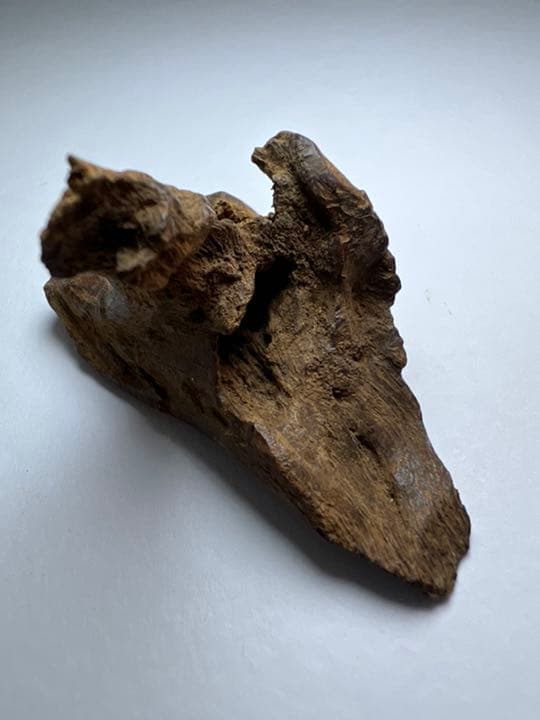 古渡命銘木 名香　真那賀　銘【露草】4.508g カサニア香木/お香/沈香/伽羅