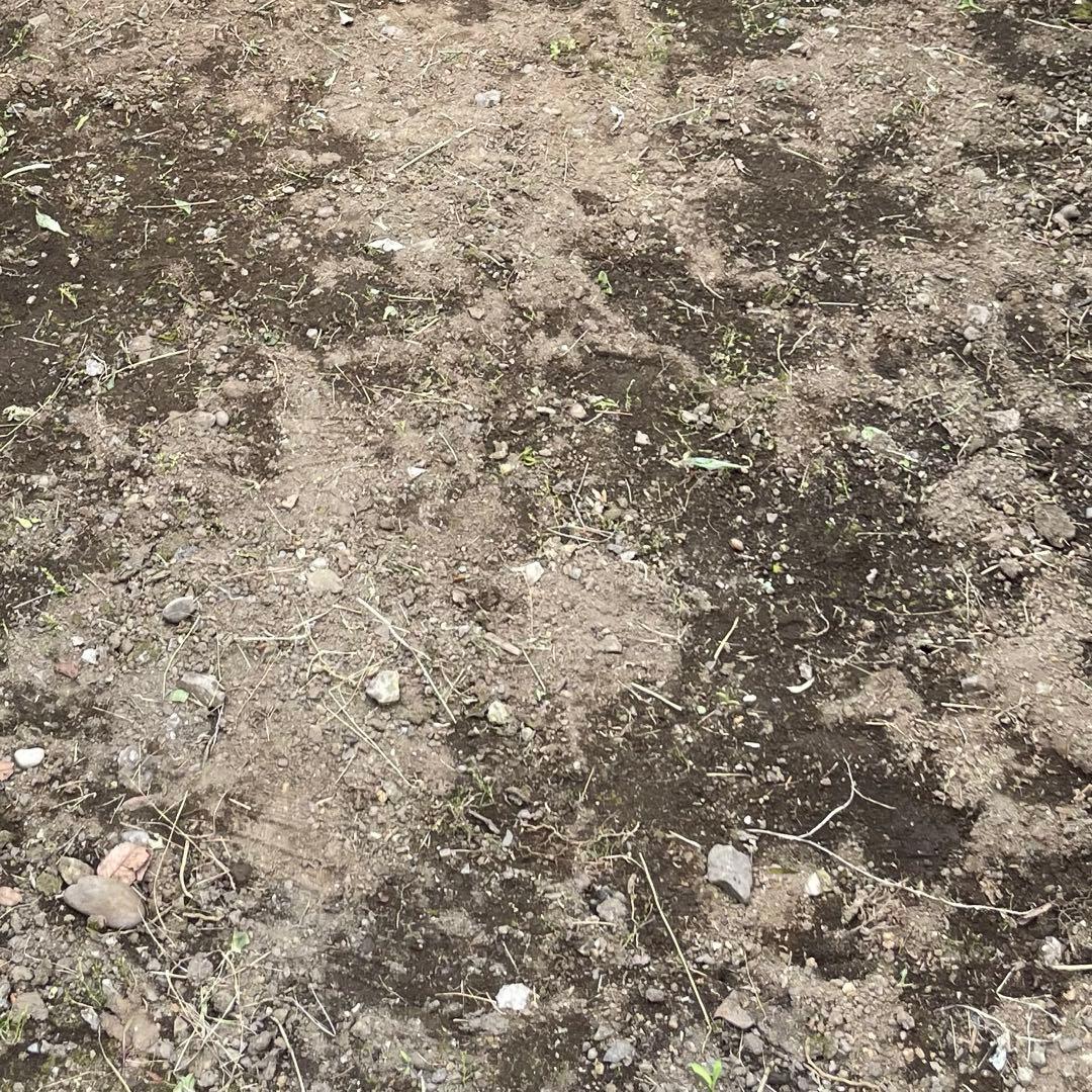 もけ’s SHOP@値下げ交渉可☺️