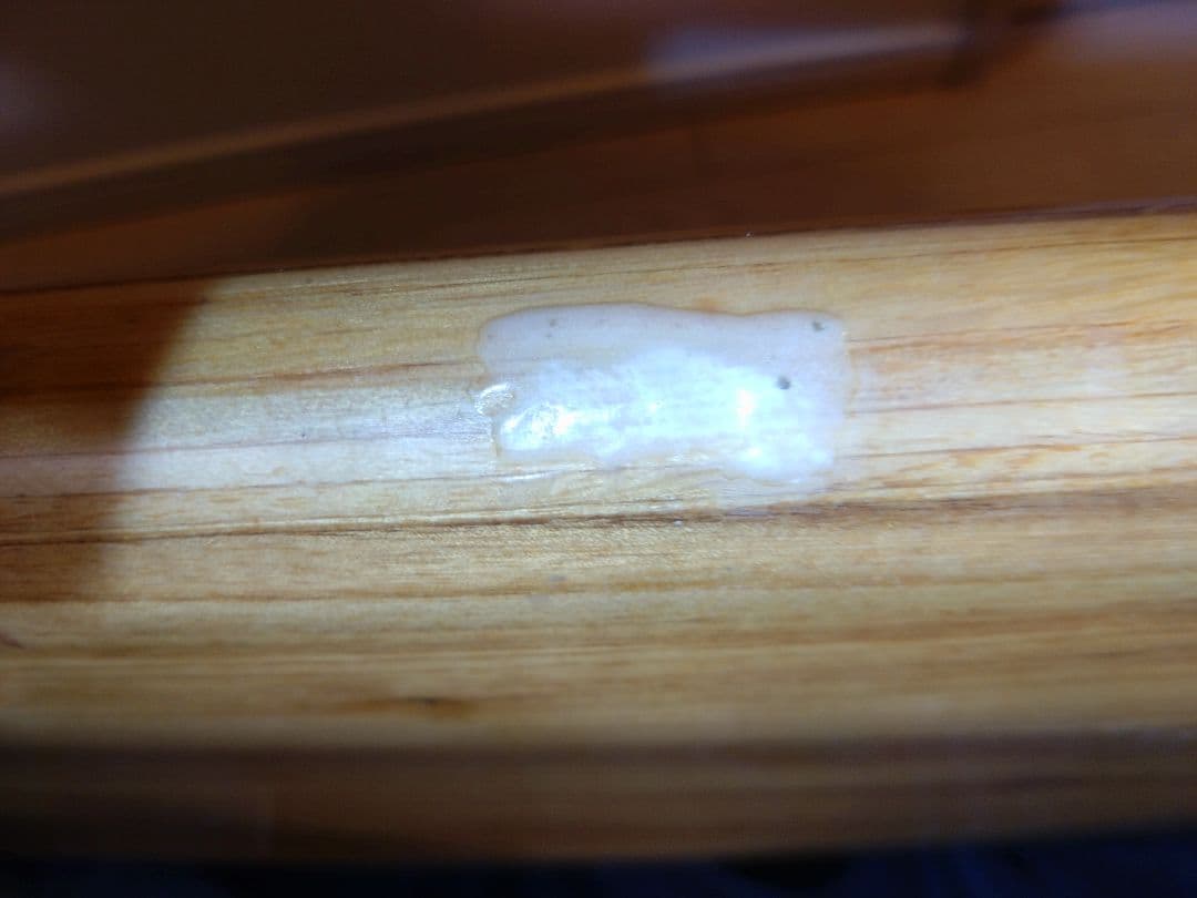 FIREWIRE the GEM 9'5\"×22 1/2\"×3 70.3L