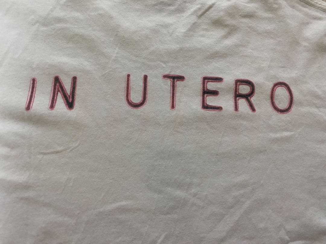 レア NIRVANA ビンテージ IN UTERO Tシャツ ©️1993