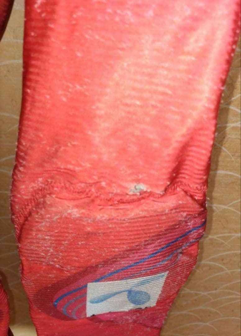 Phenix Norway Team Model FIS 対応ワンピース