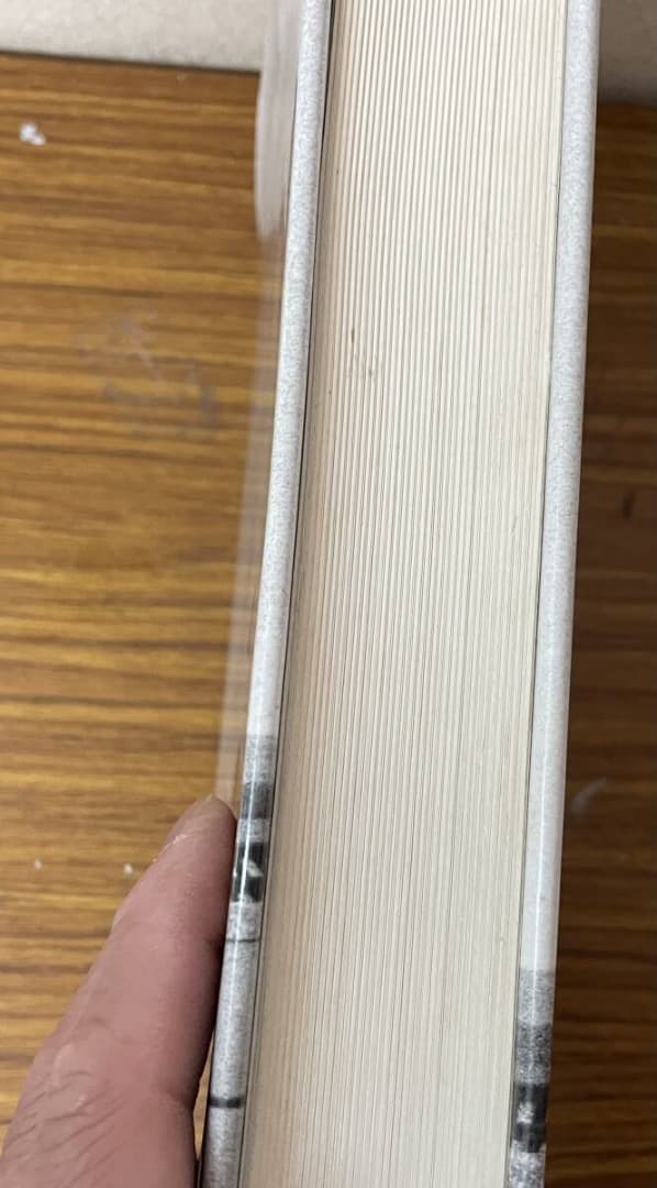 JOSEPH BEUYS DIE MULTIPLES・洋書・大型本