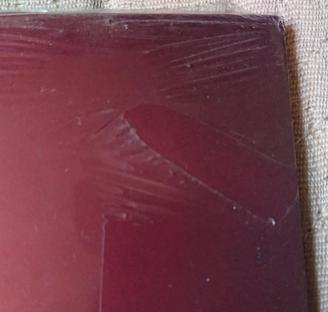 未開封 新品 シールド NAUGHTY BY NATURE USオリジナル