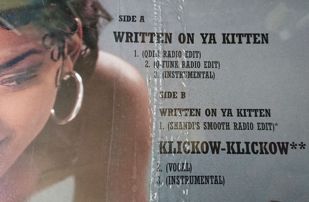 未開封 新品 シールド NAUGHTY BY NATURE USオリジナル