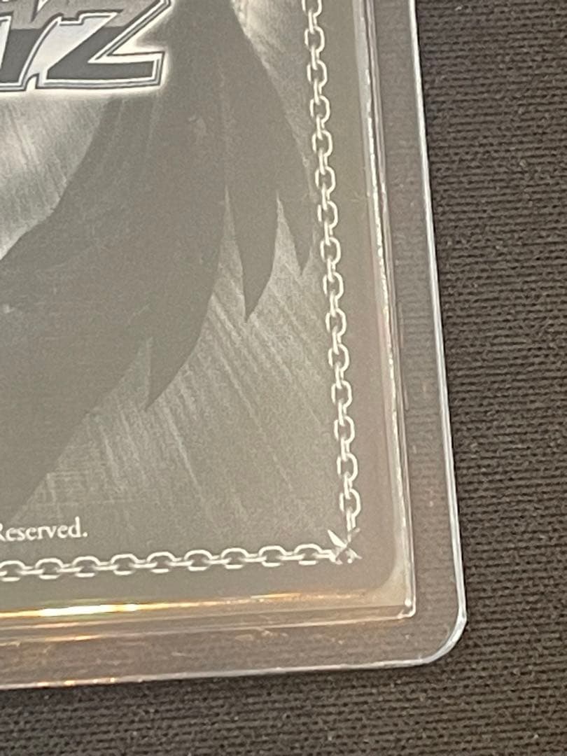 ヴァイスシュヴァルツ 魔法使い　フェルンssp