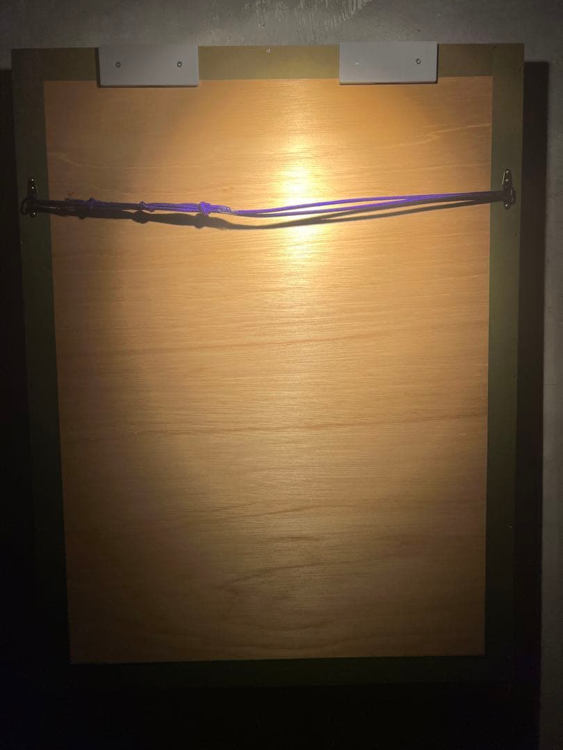 ほかの方発送×Gary Fenske 【First Light】