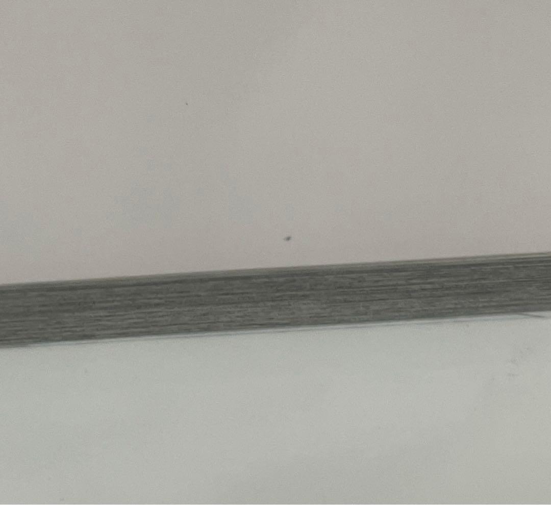 ONE PIECE　ワンピース　尾田栄一郎　1巻〜99巻　単行本　セット