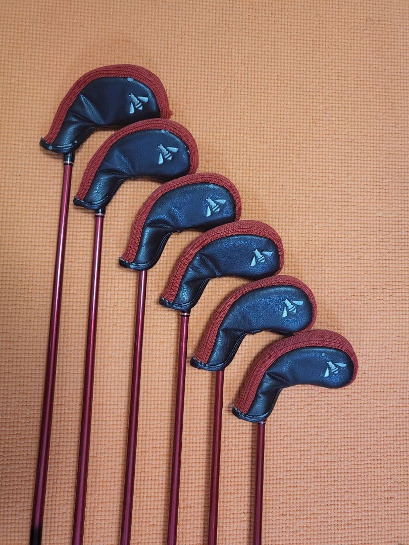 販売期間1月17日まで【限定品】ロッディオ(Roddio) アイアンセット