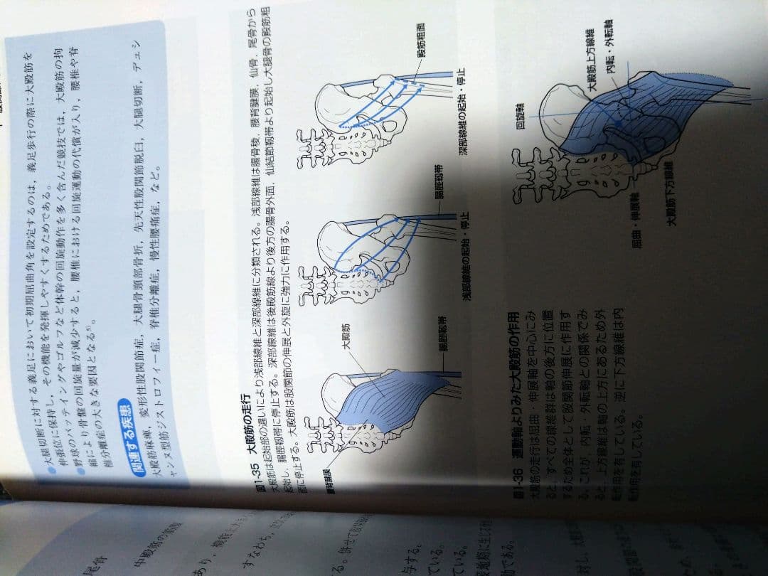 整形外科運動療法ナビゲーション上肢下肢　触診技術上下肢4冊理学療法　作業療法士