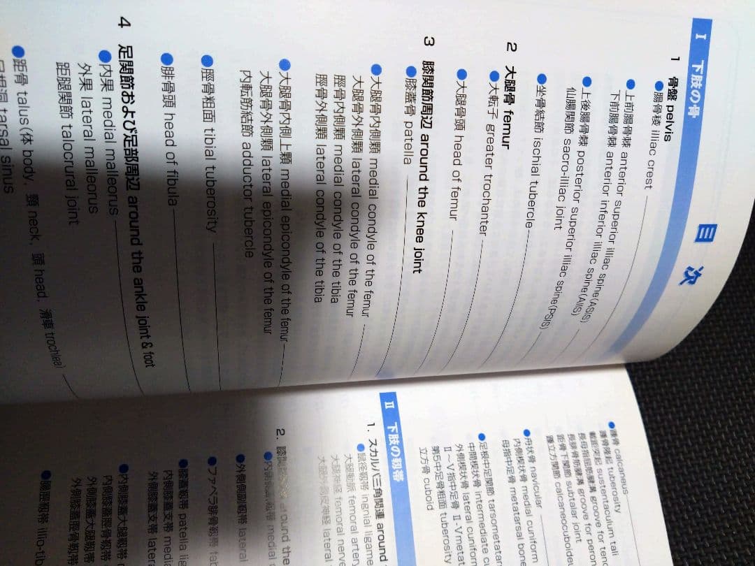 整形外科運動療法ナビゲーション上肢下肢　触診技術上下肢4冊理学療法　作業療法士