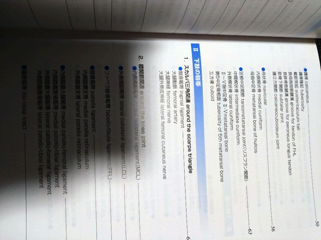 整形外科運動療法ナビゲーション上肢下肢　触診技術上下肢4冊理学療法　作業療法士