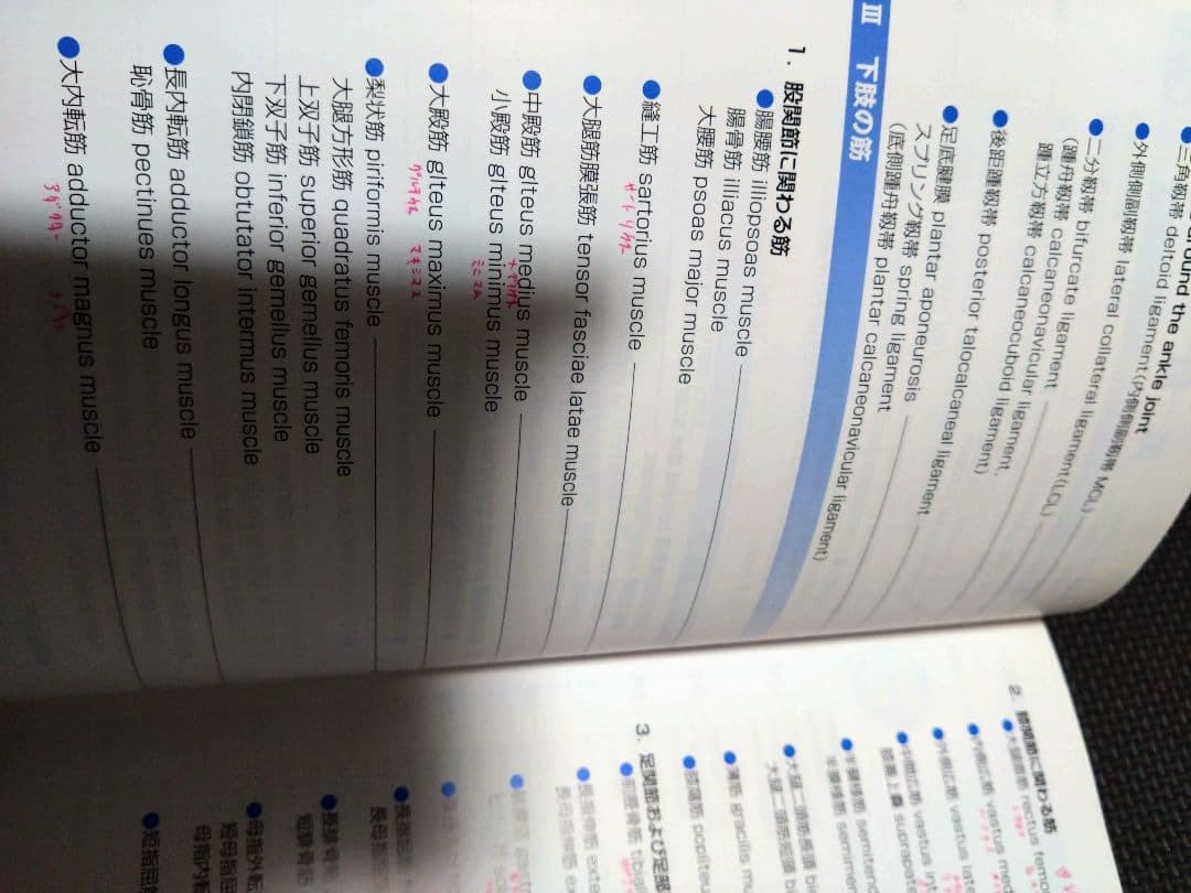 整形外科運動療法ナビゲーション上肢下肢　触診技術上下肢4冊理学療法　作業療法士