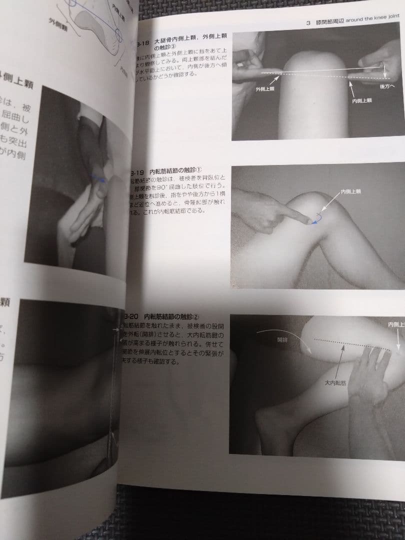 整形外科運動療法ナビゲーション上肢下肢　触診技術上下肢4冊理学療法　作業療法士