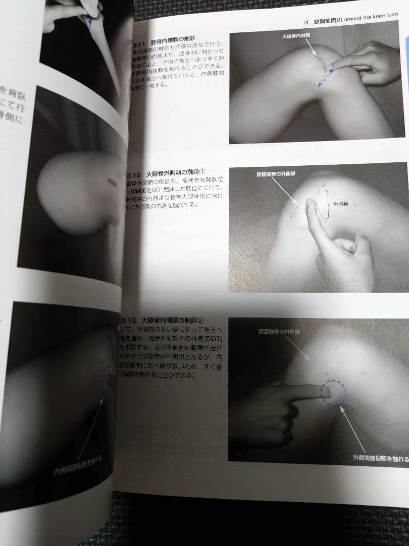 整形外科運動療法ナビゲーション上肢下肢　触診技術上下肢4冊理学療法　作業療法士