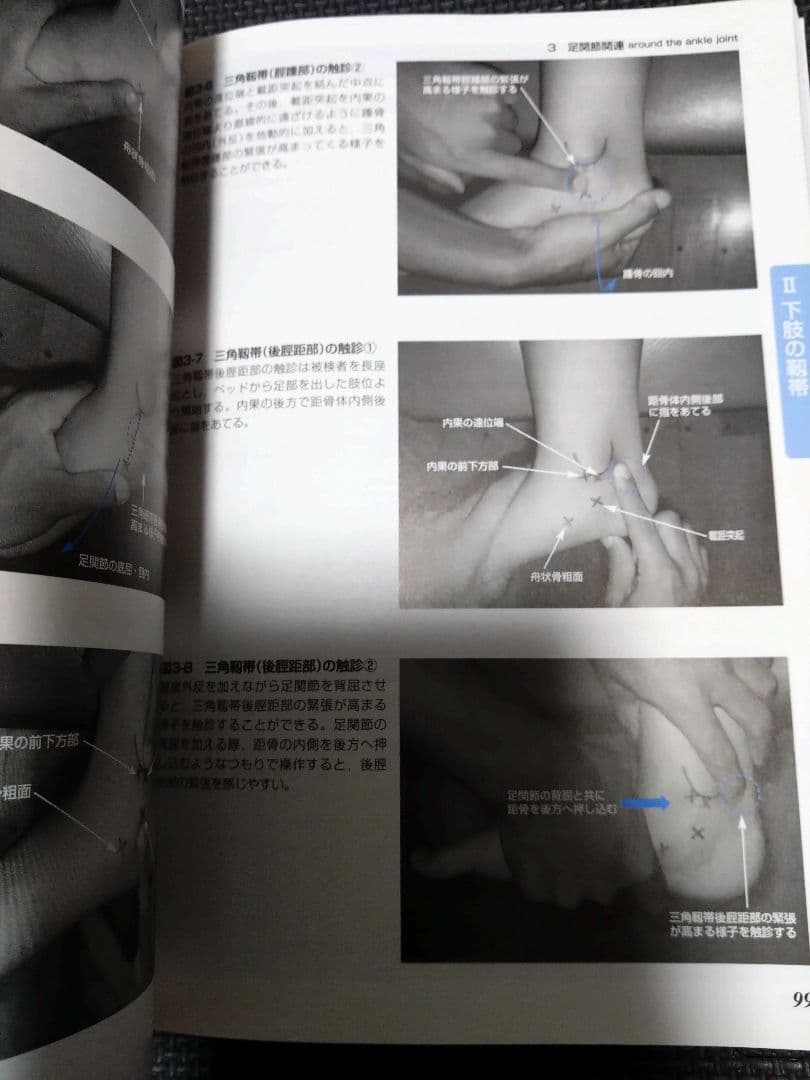 整形外科運動療法ナビゲーション上肢下肢　触診技術上下肢4冊理学療法　作業療法士