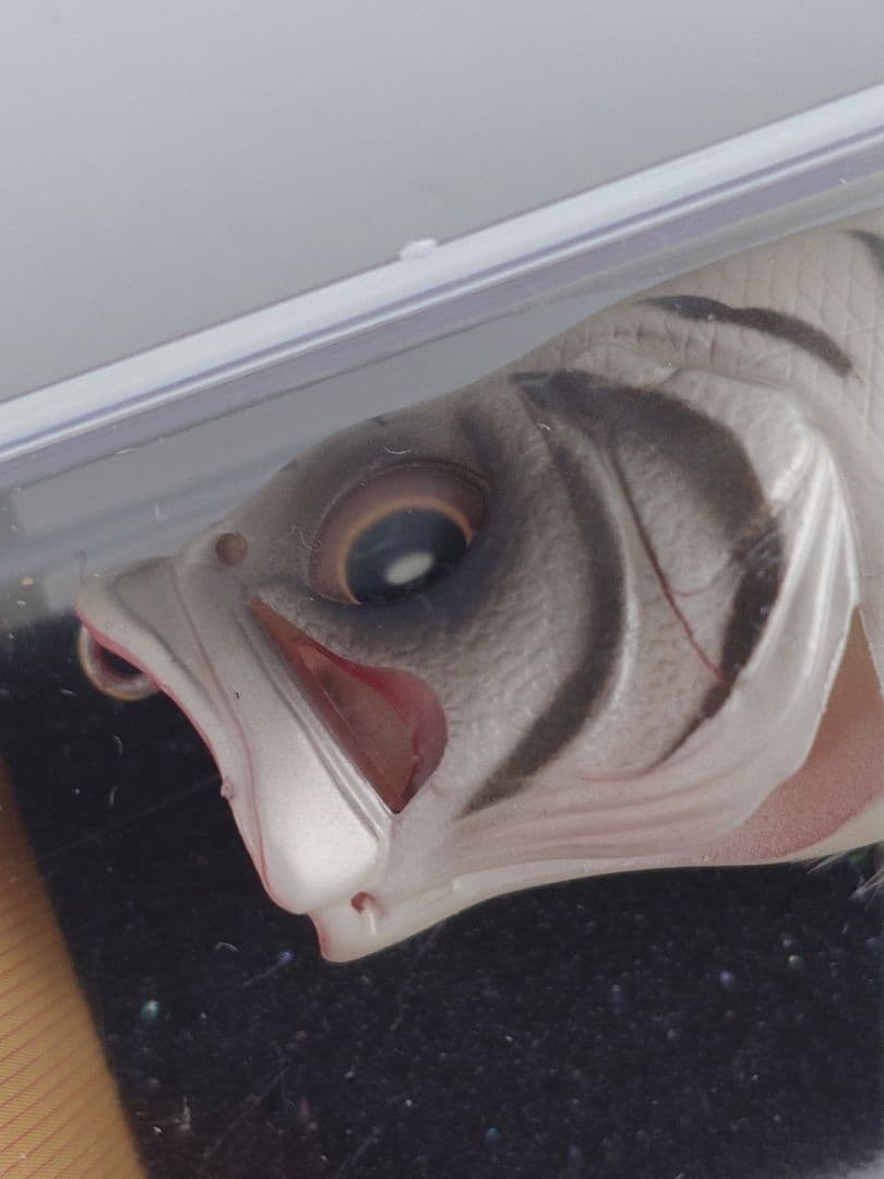 メガバス ポップマックス 限定 SP-C 干支 '10 寅 白虎 新品未開封