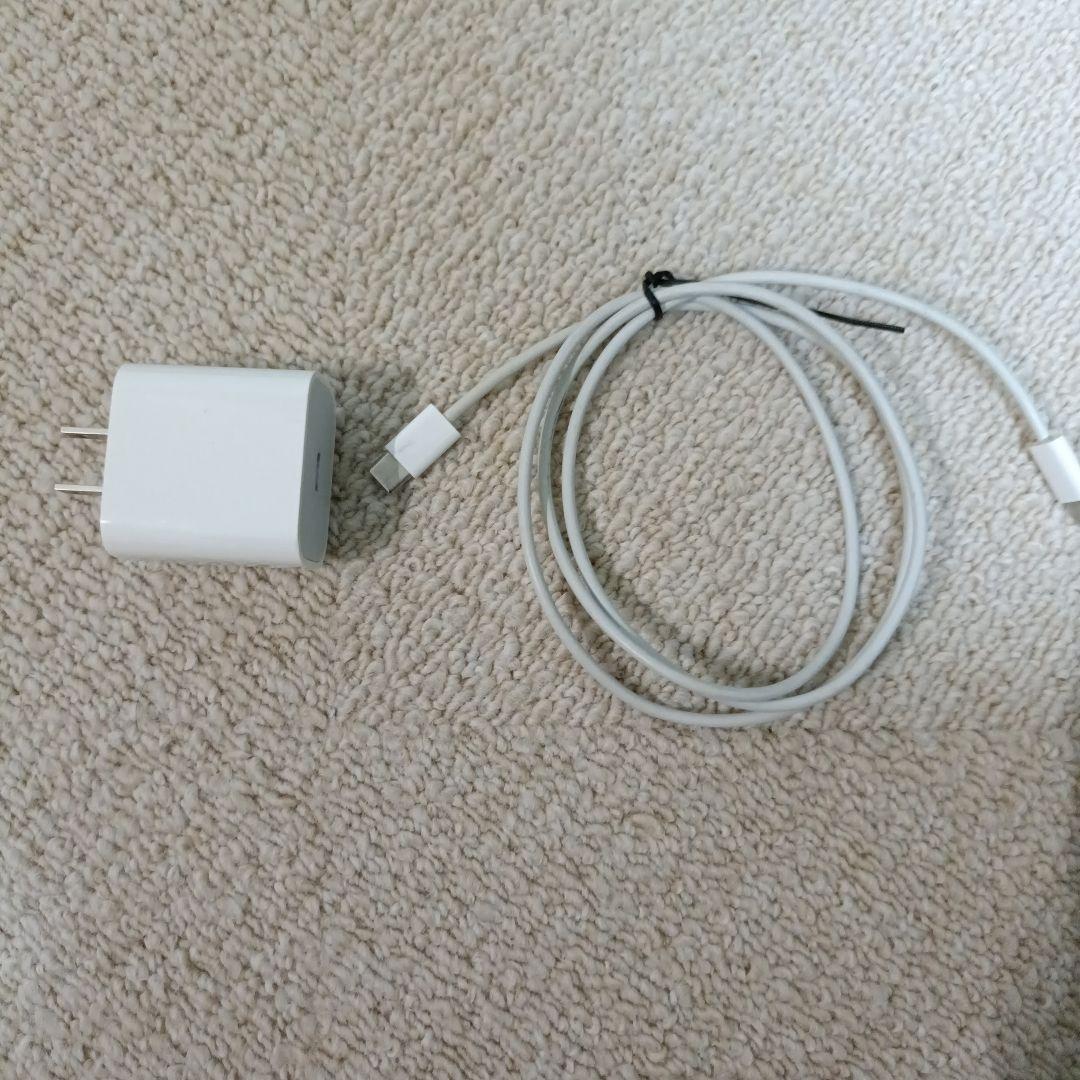 iPad Pro 12.9インチ Wi-Fi+Cellular 256GB