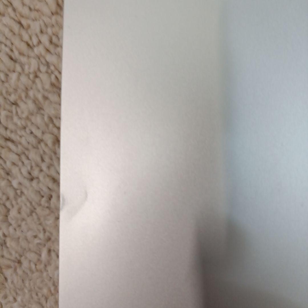 iPad Pro 12.9インチ Wi-Fi+Cellular 256GB