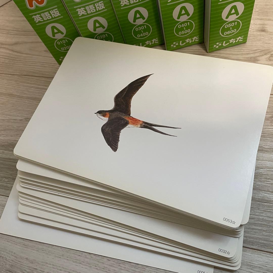 かな絵ちゃん 英語版A・B+CD+白紙+名所カード