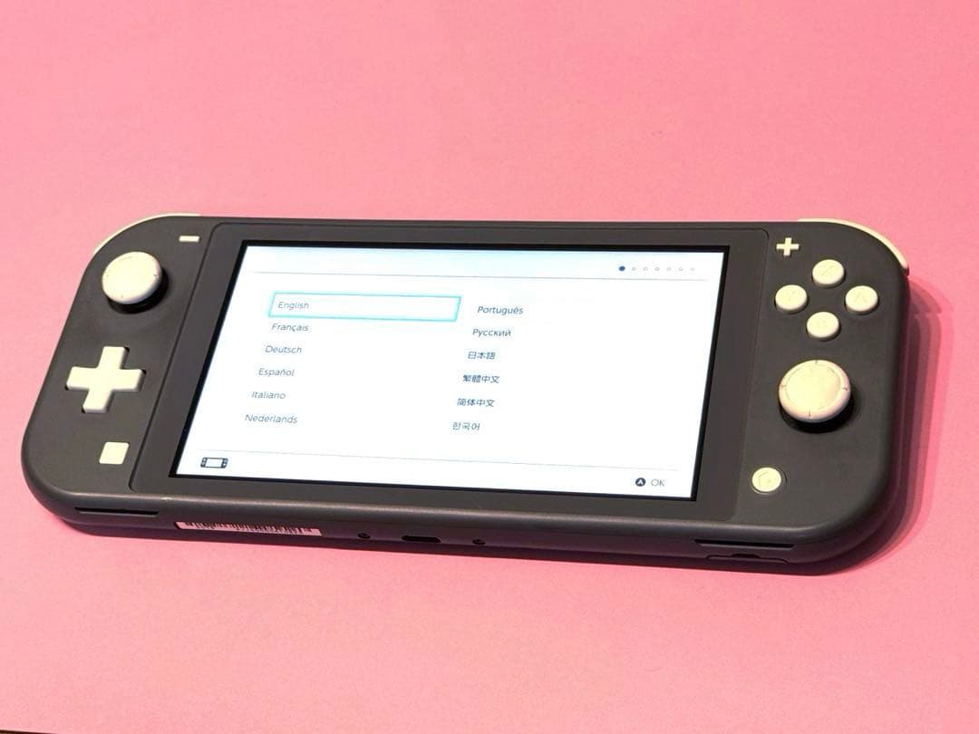 Nintendo Switch Lite グレー 本体 箱 充電器